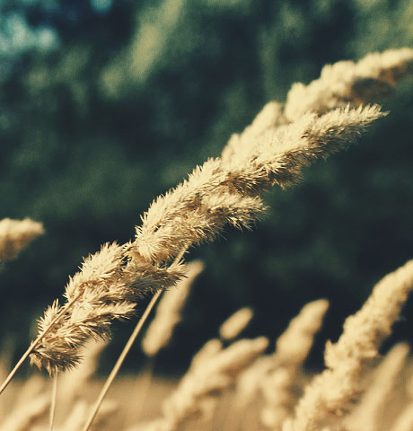 ddos网页在线攻击