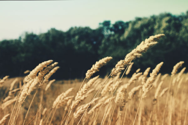 免费ddos平台攻击